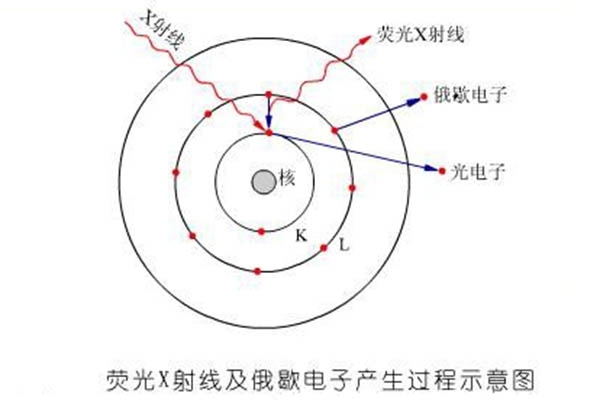 熒光X射線及俄歇電子產(chǎn)生過(guò)程示意圖